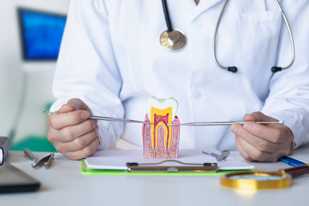 Best Tooth Infection Emergency Dentist  in Allison Rk, PA